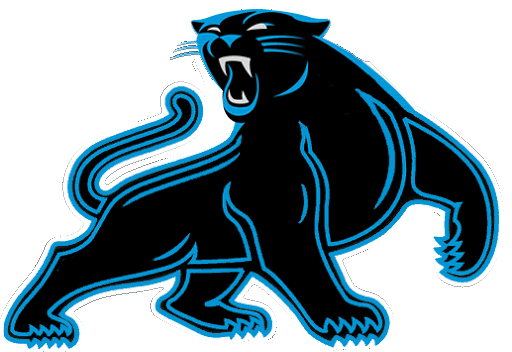 Carolina Panthers PNG transparente Picture