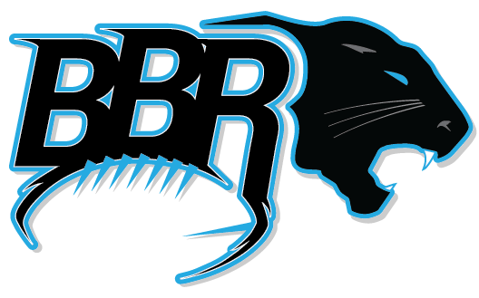 Carolina Panther Transparenter Hintergrund