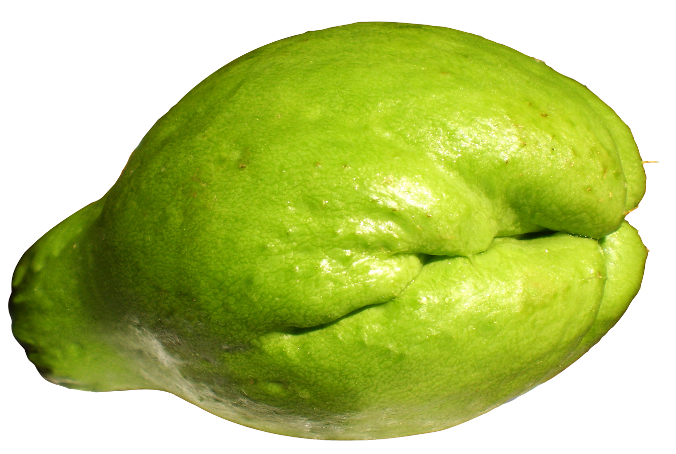 Chayote PNG Transparent Image