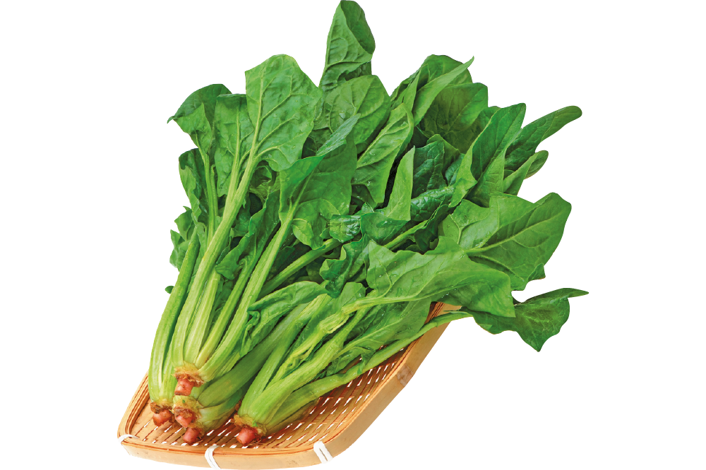 Chinese Spinach PNG File