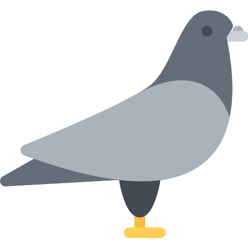 Columbidae Pigeon PNG Kostenloser Download