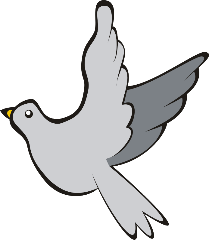 Columbidae Pigeon прозрачный PNG
