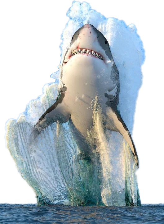 Face Megalodon Shark PNG Foto