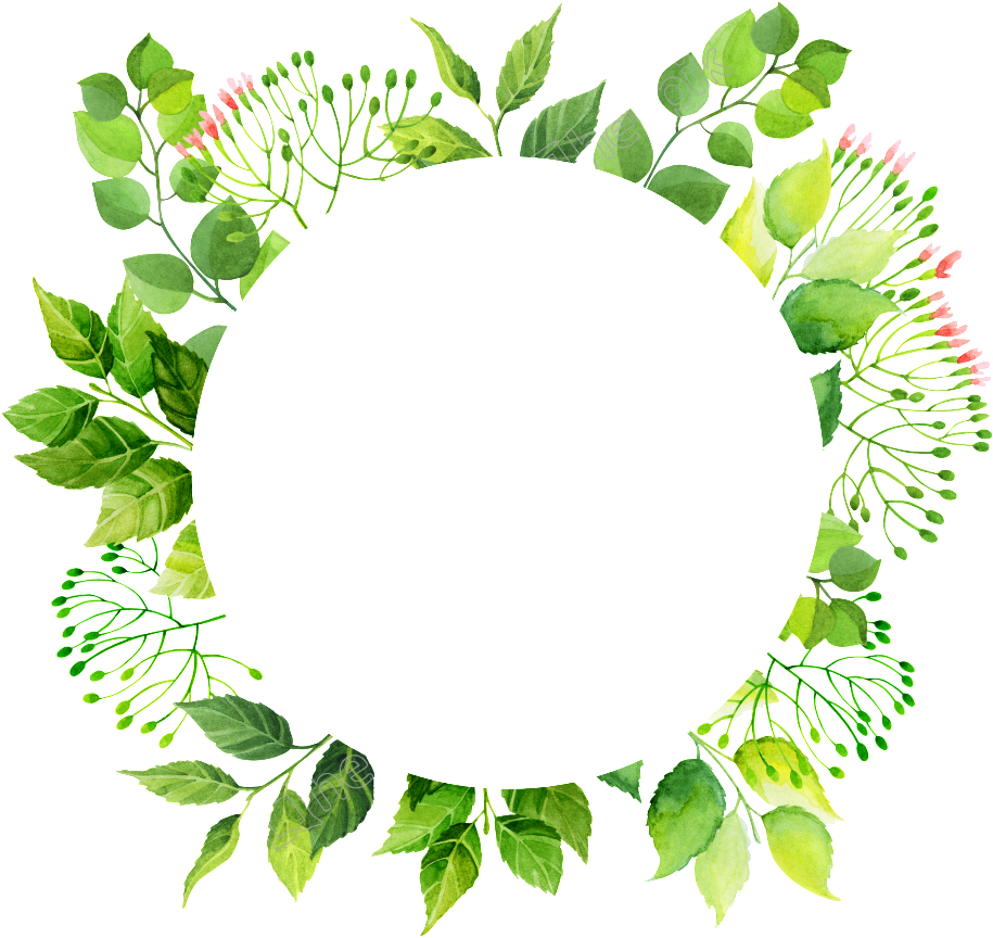 Immagine Trasparente della cornice verde floreale PNG