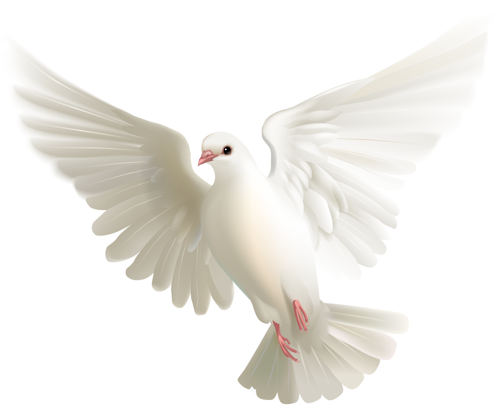Flying Peace Pigeon PNG Clipart