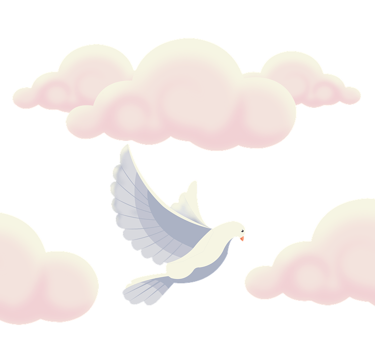 Flying Peace Pigeon PNG File