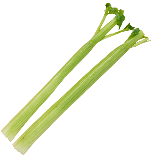 Fresh Celery Sticks PNG Photos