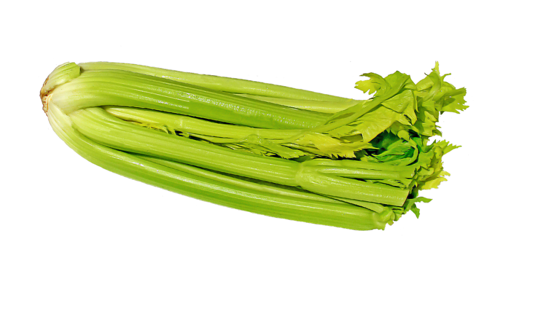 Fresh Celery Sticks PNG Transparent Image