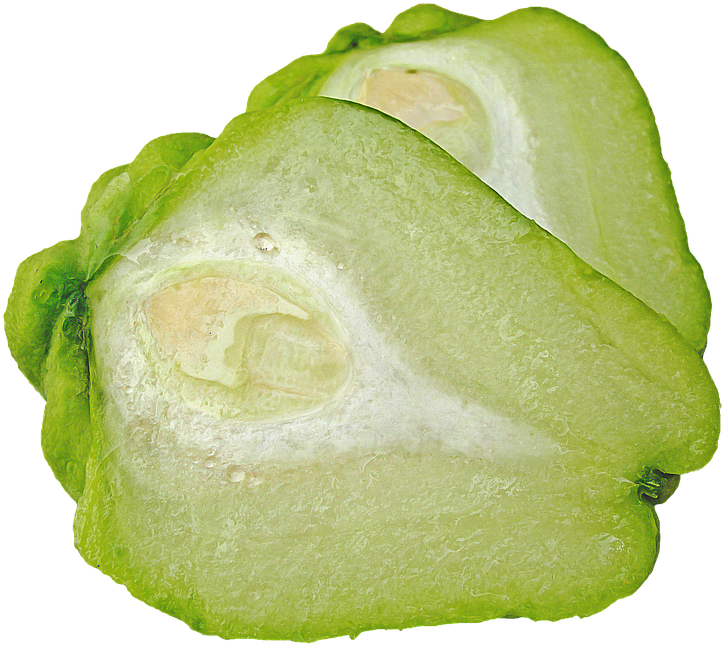 Frischer chayote PNG clipart