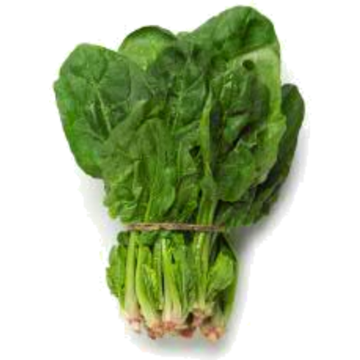 Fresh Chinese Spinach PNG Photos