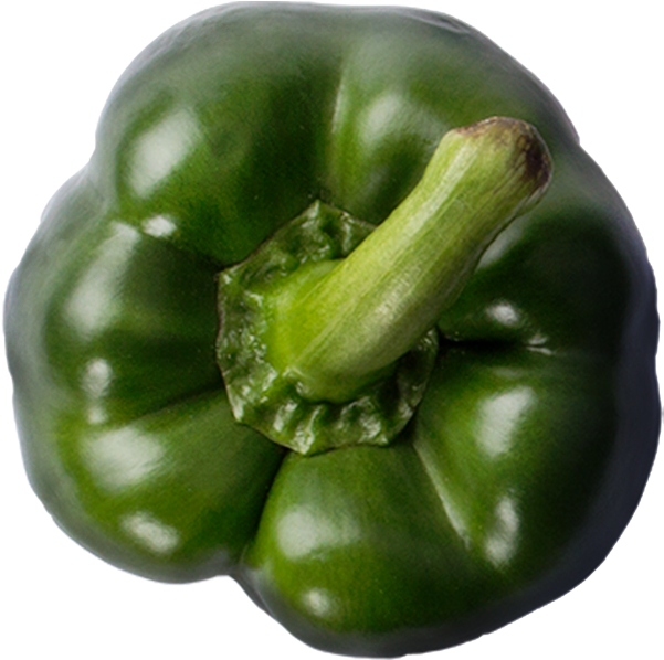 Fresh Green Bell Pepper PNG Image