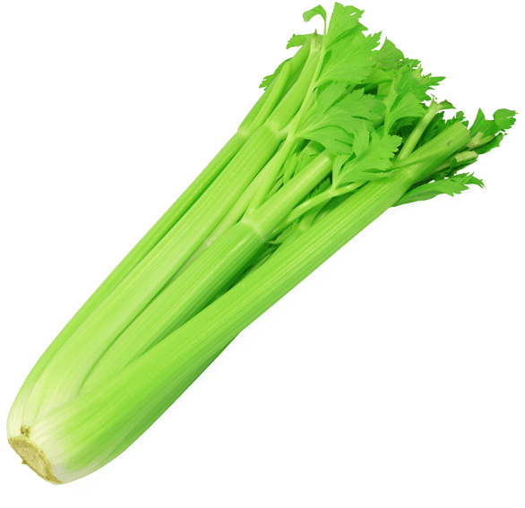 Fresh Green Celery PNG-bestand