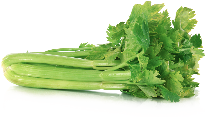 Fresh Green Celery PNG Image