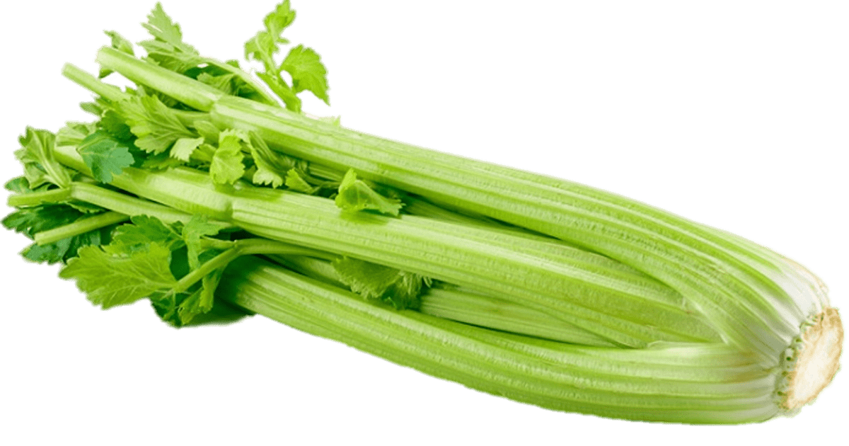 Fresh Green Celery PNG Pic