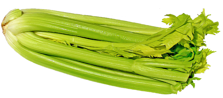 Fresh Green Celery PNG Transparent Image