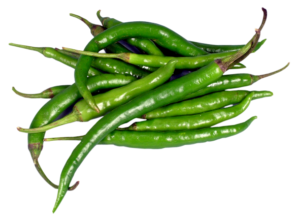 Fresh Green Chili Pepper PNG Pic