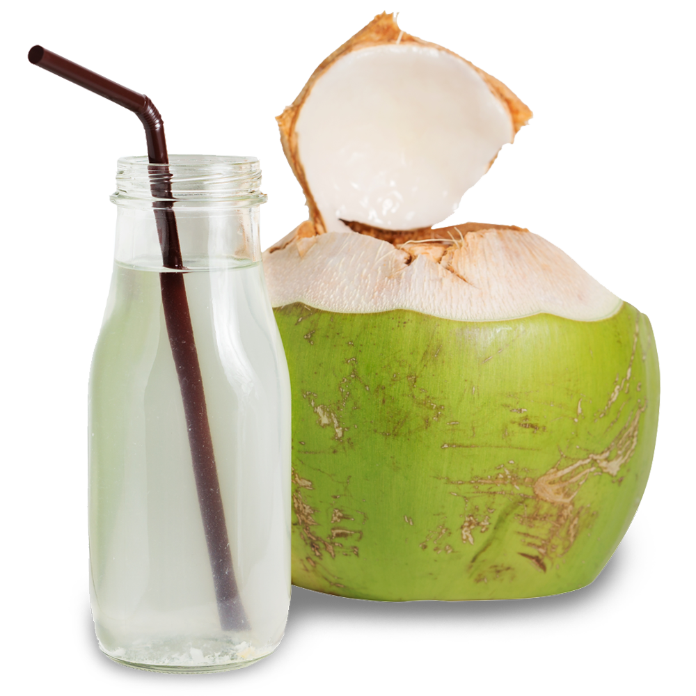 Fresh Green Coconut PNG File