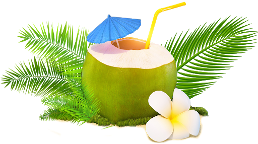 Fresh Green Coconut PNG Image