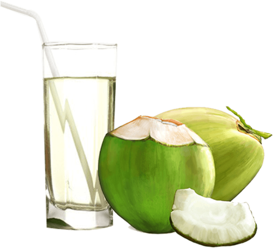 Fresh Green Coconut PNG Pic
