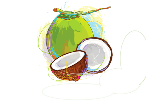 Fresh Green Coconut PNG Transparent Image