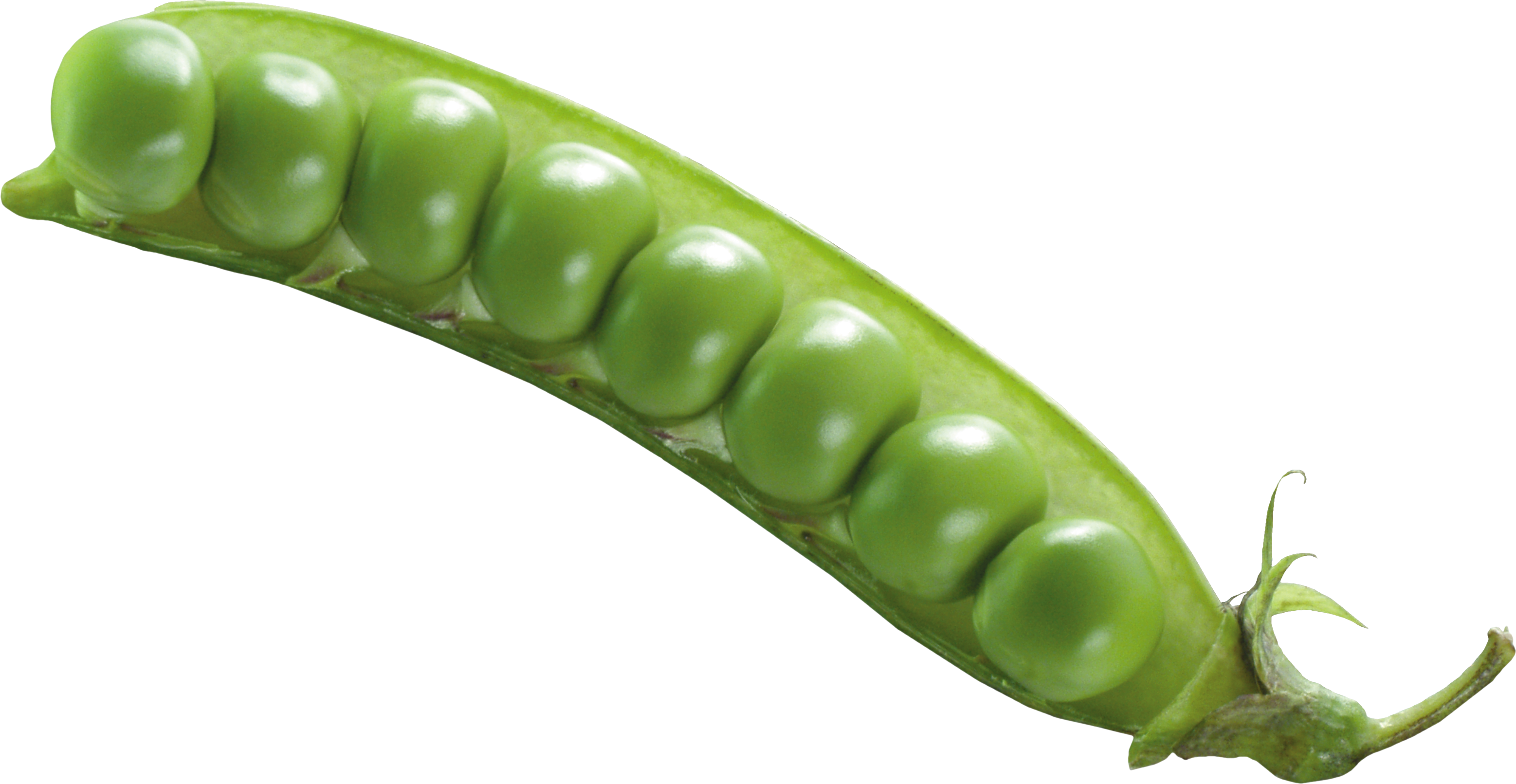Fresh Green Pea PNG Image