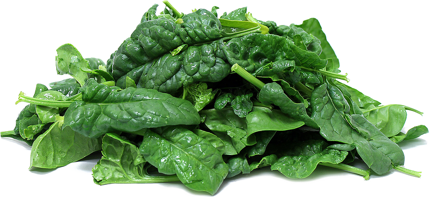 Spinach Verde Fresh PNG Clipart