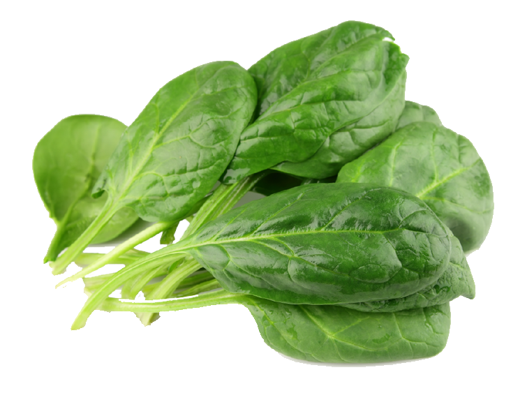 Immagine di PNG di spinaci verdi freschi