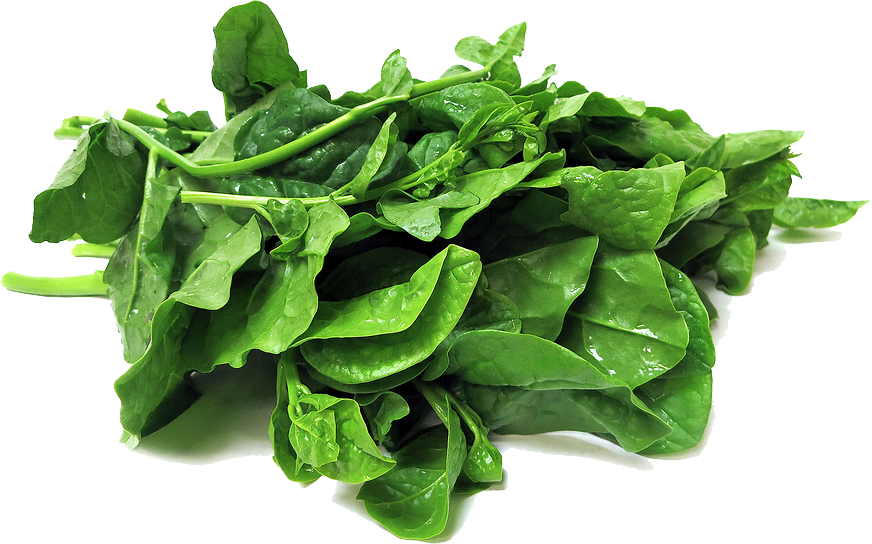 Foto di PNG di spinaci verdi freschi