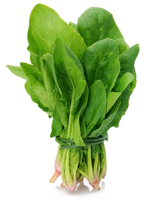 Fresh Green Spinach Transparent PNG