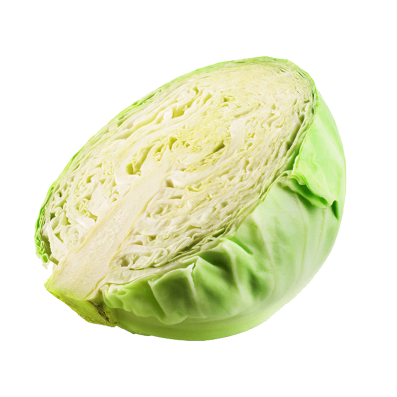 Fresh Half Cabbage PNG Photos