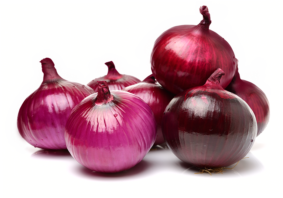 Fresh Onion PNG Photos