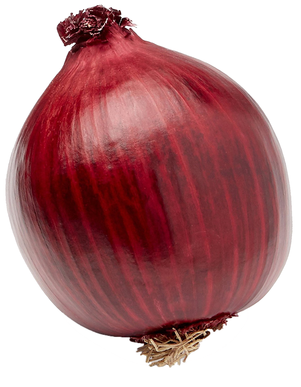 Fresh Onion Transparent PNG