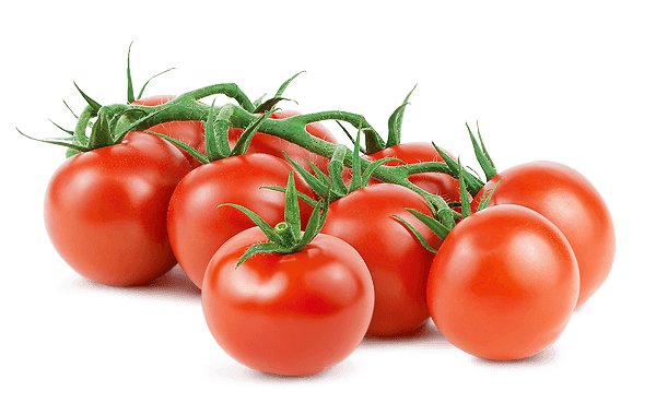 Fresh Tomatoes Bunch PNG Photos