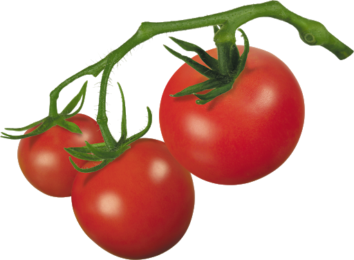 الطماطم الطازجة حفنة شفافة PNG
