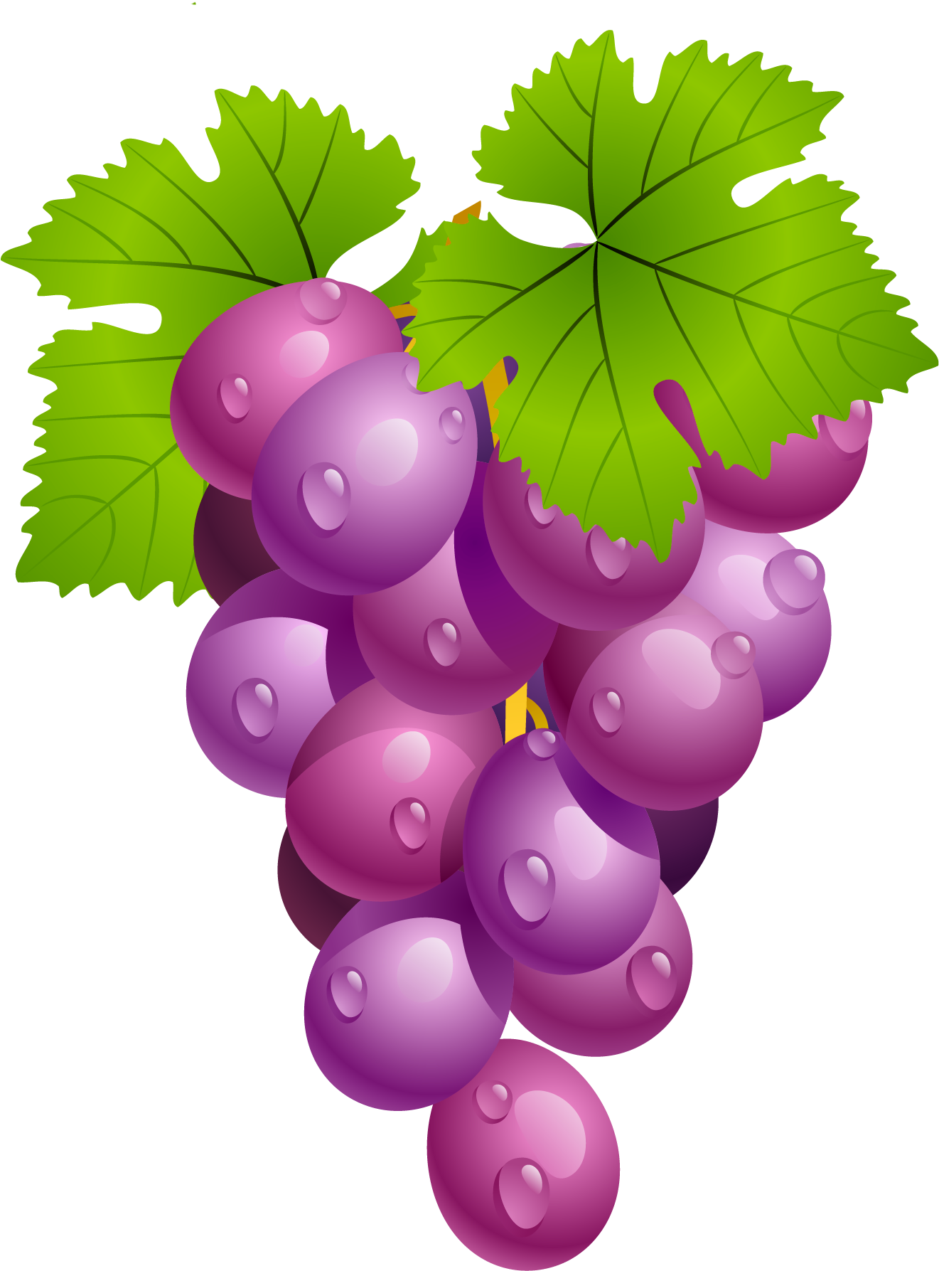 Grape Vine Leaf PNG File