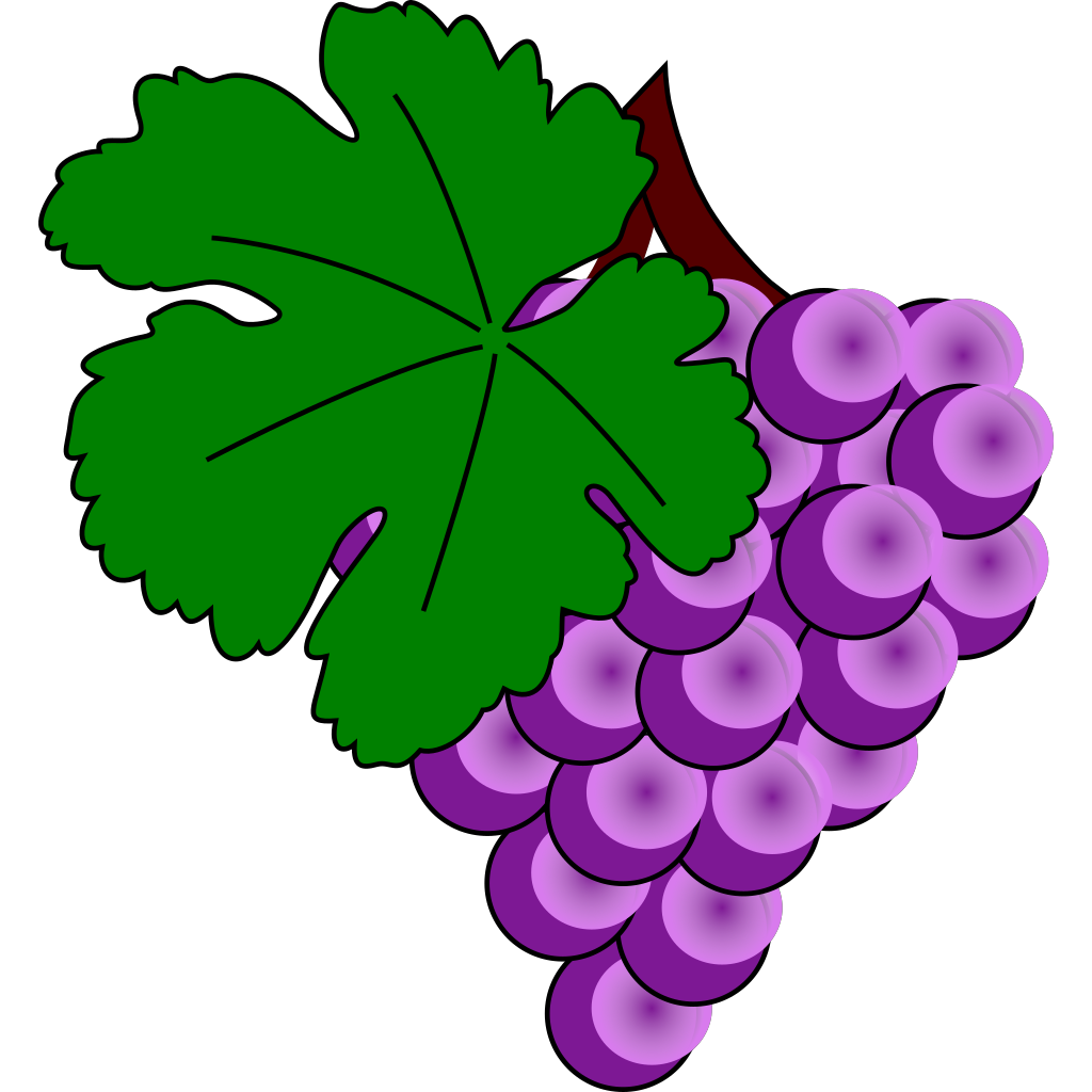 Grape Vine Daun PNG Pic
