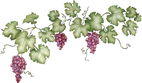 Grape Vine Leaf Transparent Background