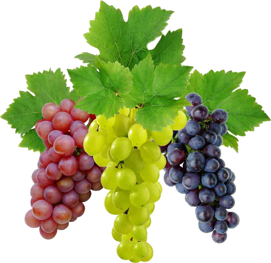 Druiven PNG Transparante afbeelding