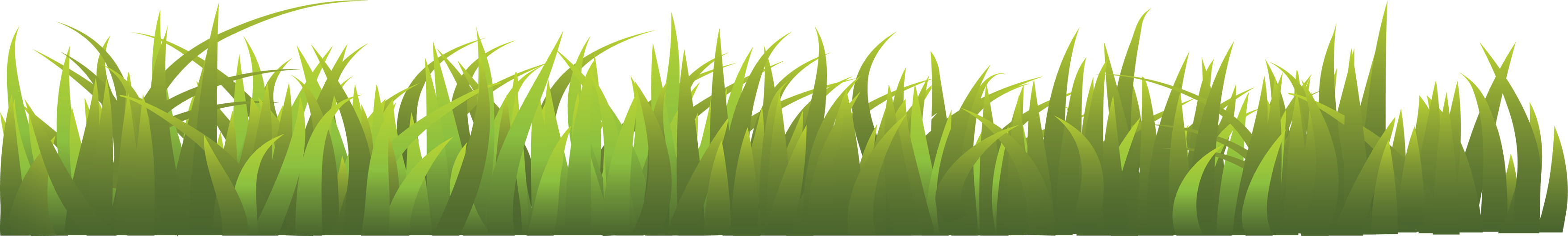 Gras Transparenter Hintergrund