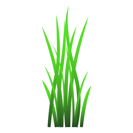 Grass vecteur PNG Clipart