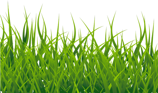 Grass Vector PNG File