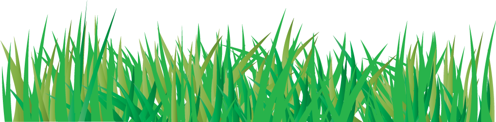Grass Vector Transparent PNG