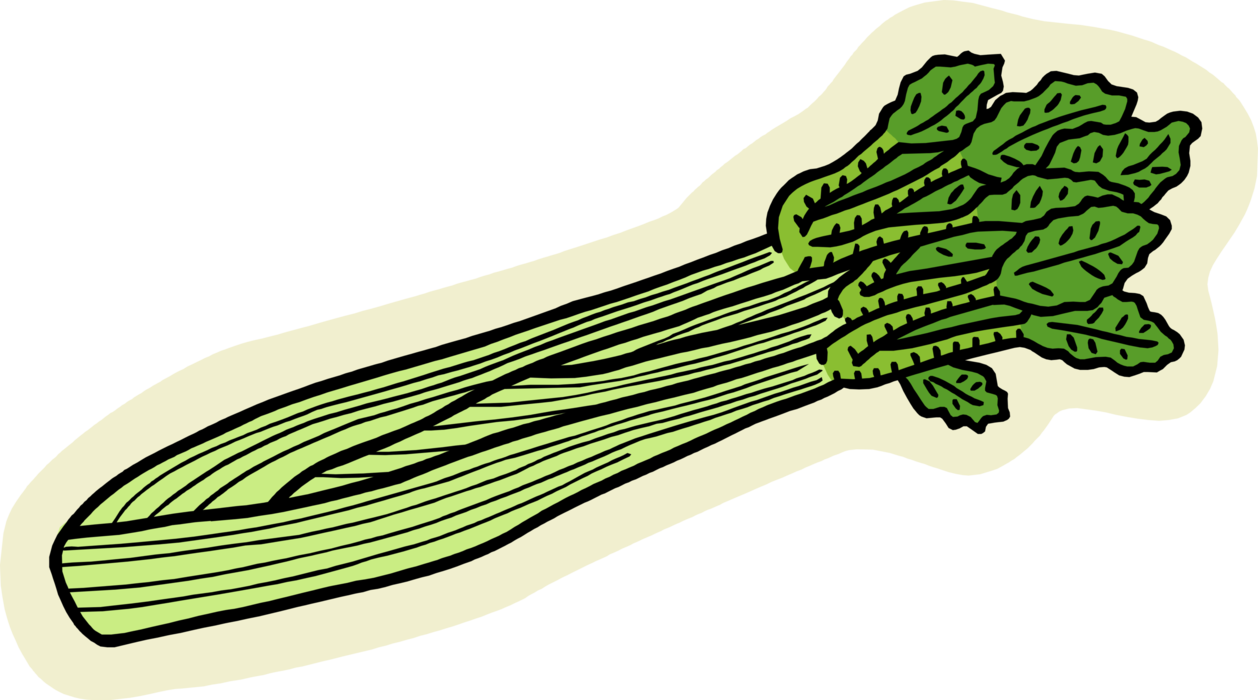 Green Celery PNG File