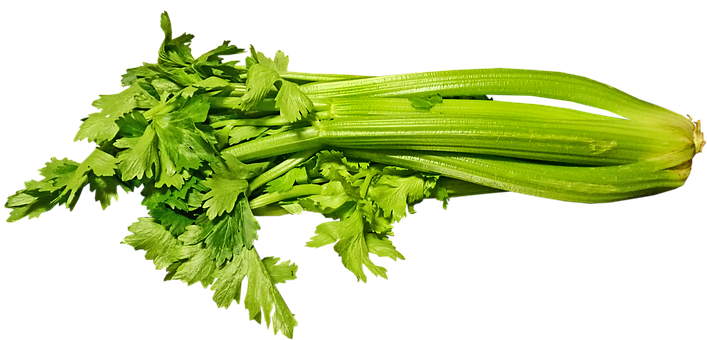 Green Celery PNG Image