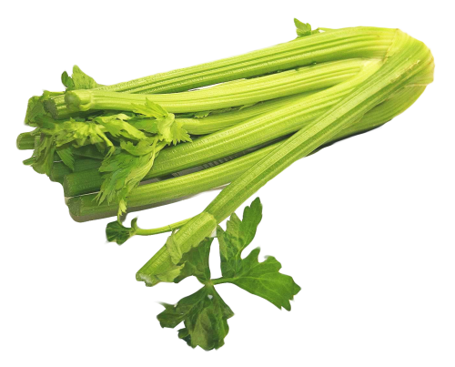 Green Celery Transparent Background
