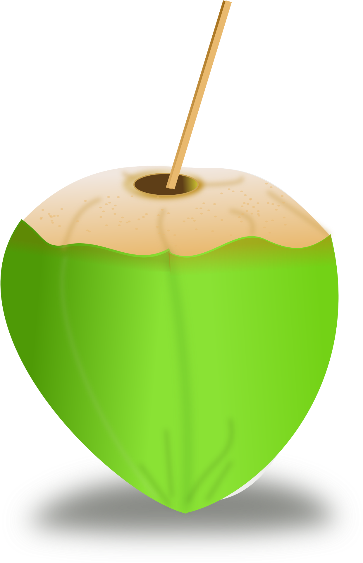 Green Coconut PNG File