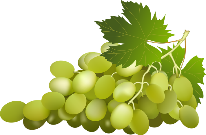 Archivo de uvas PNG verde