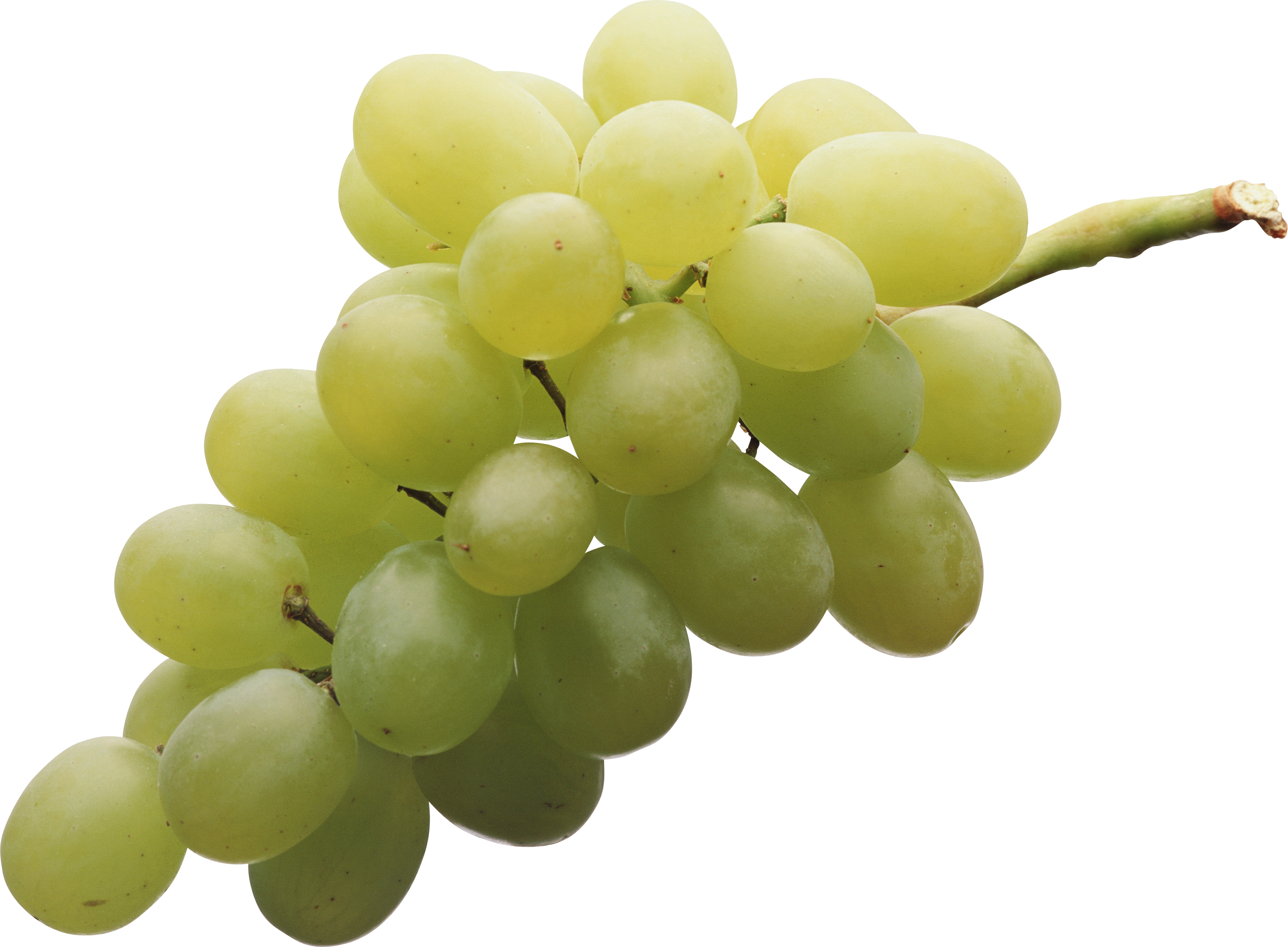 Groene druiven PNG Transparant Beeld