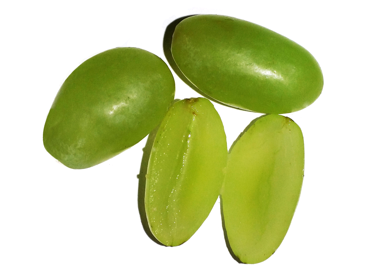Green Grapes Transparan PNG