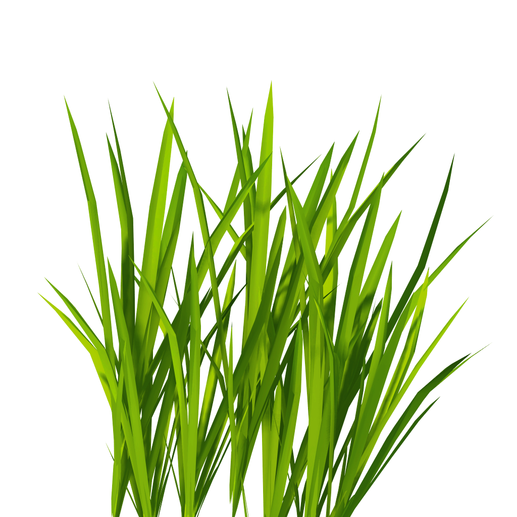 Green Grass PNG Transparent Image